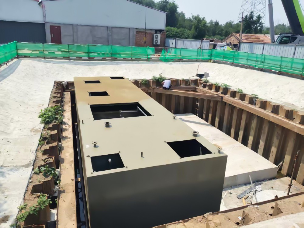 棕櫚油加工廢水處理：挑戰(zhàn)與解決方案